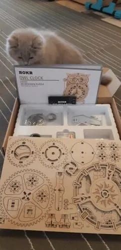 Photo du montage partagée : Puzzle 3D horloge hibou